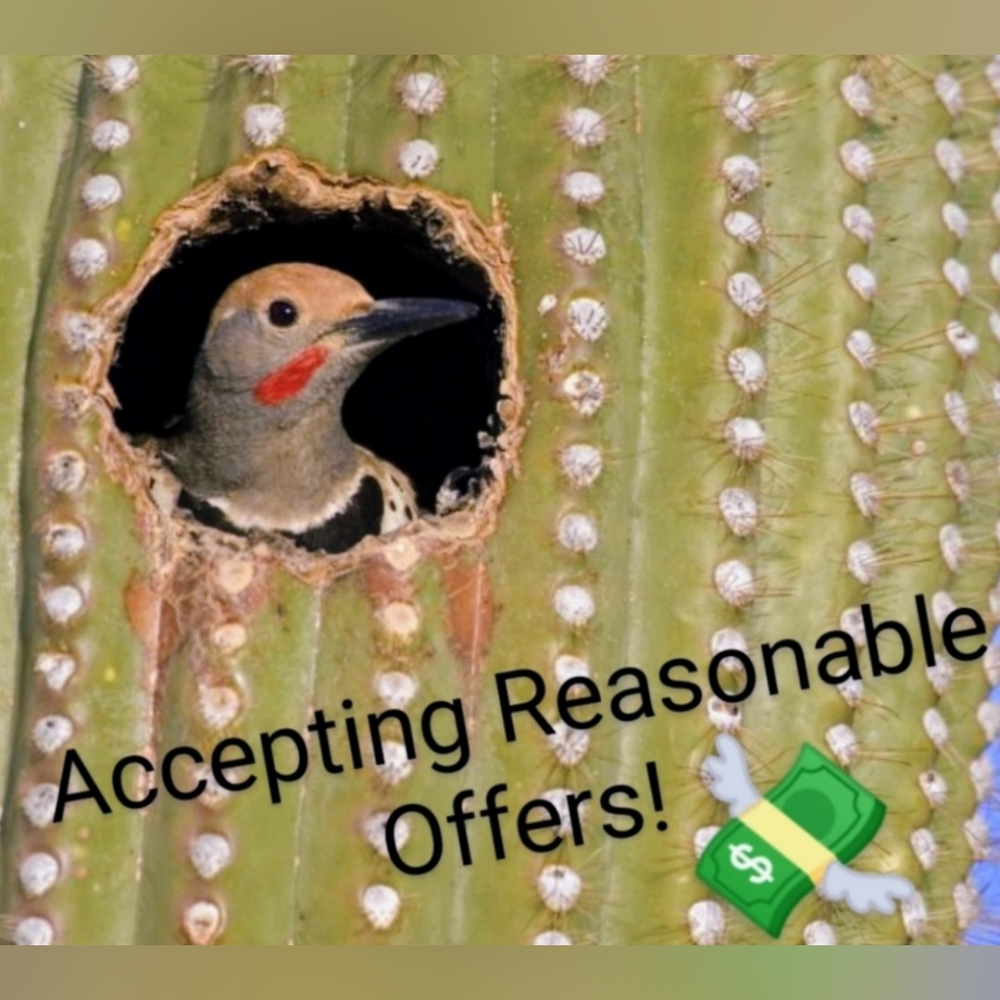 🖤 BRIGHTON SILVER PLATED TWO SIDED HEART NECKLACE - Picture 10 of 10